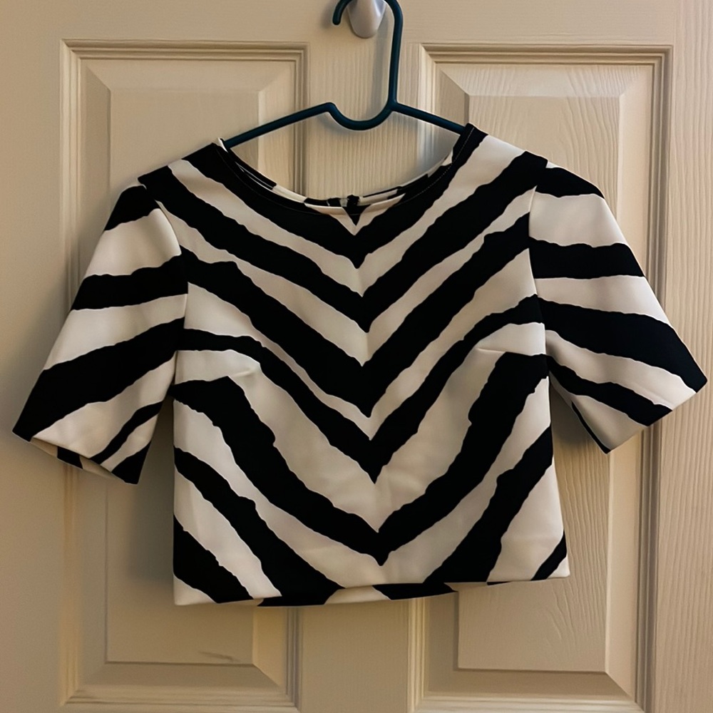 Express Cropped Zebra Print Top